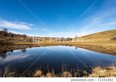 Small Lake for cows with reflections - Lessinia Plateau Veneto Italy Small Lake for cows with reflections - Lessinia Plateau Veneto Italy 71331892