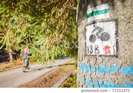 Marked bike and walking trail on a tree in Izera Mountains. Marked bike and walking trail on a tree in Izera Mountains. 71331975