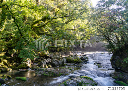 菊池谷的光束 71332705