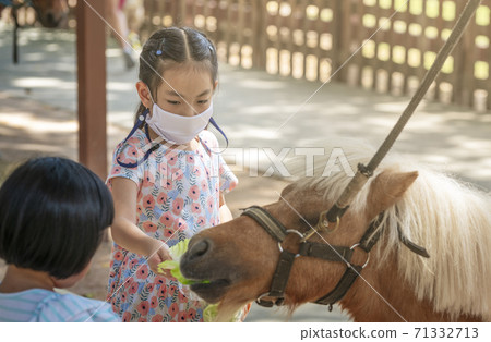 Asian tourist child girl is feeding the pony in zoo of Thailand, wearing medical or protective mask and feeding vegetable to pony. Travel under epidemic prevention measures, Covid-19. 71332713