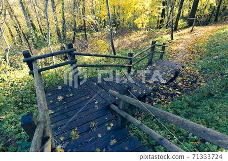 Walking trail in the national park in autumn Walking trail in the national park in autumn 71333724