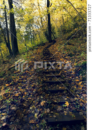 Walking trail in the national park in autumn Walking trail in the national park in autumn 71333727