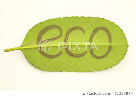 Eco icon Eco icon 71333974