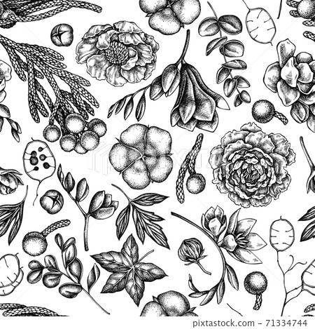 Seamless pattern with black and white ficus, eucalyptus, peony, cotton, freesia, brunia Seamless pattern with black and white ficus, eucalyptus, peony, cotton, freesia, brunia 71334744