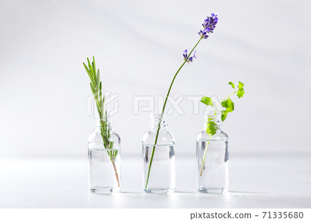 Transparent bottles with fresh herbs for aromatherapy 71335680