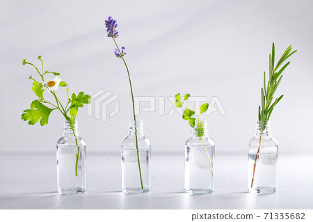 Transparent bottles with fresh herbs for aromatherapy 71335682