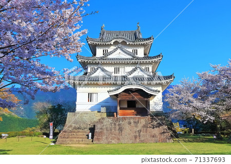 [愛媛縣]宇和島城堡盛開（現有12個城堡塔樓） 71337693