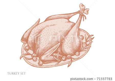 Vector set of hand drawn pastel turkey 71337783