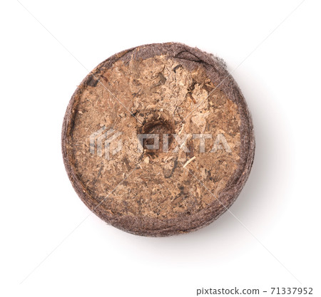 Top view of single dry peat pellet 71337952