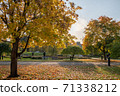 An overseas park with beautiful autumn leaves 71338212