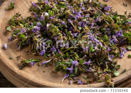 Minced fresh ground-ivy flowers on a cutting board Minced fresh ground-ivy flowers on a cutting board 71338348
