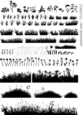 Big set of the vector grass and flowers. Field, forest, lawn, plot, wild, thick, tall and short 71338421