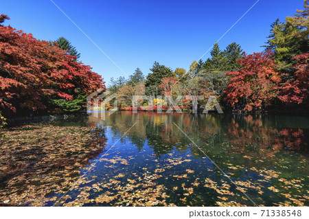 輕井澤雲場池塘在秋天與秋天的落葉，在藍藍的天空下 71338548