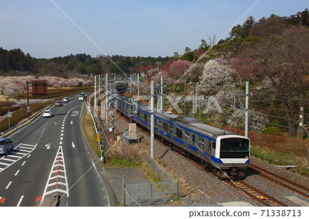 Joban Line E531 series (medium-distance train) that goes near Mito Kairakuen 71338713