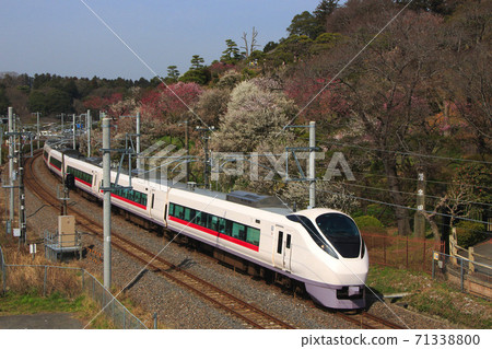 Joban Line Limited Express Hitachi that goes near Mito Kairakuen Joban Line Limited Express Hitachi that goes near Mito Kairakuen 71338800