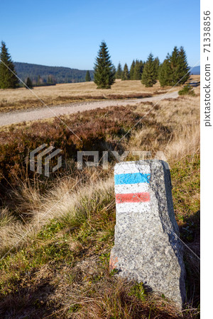 Marked trails on a rock at peatland of the Izera River Valley. 71338856