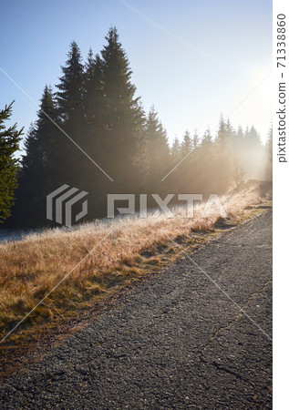Road in Izera Mountains forest at sunrise, Poland. Road in Izera Mountains forest at sunrise, Poland. 71338860