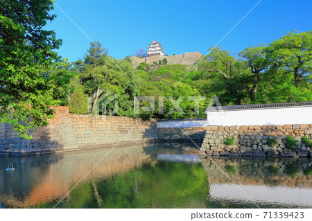 [香川縣]丸龜城 71339423