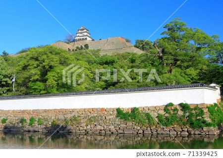 [香川縣]丸龜城 71339425