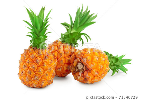 pineapple isolated on white background with clipping path and full depth of field pineapple isolated on white background with clipping path and full depth of field 71340729