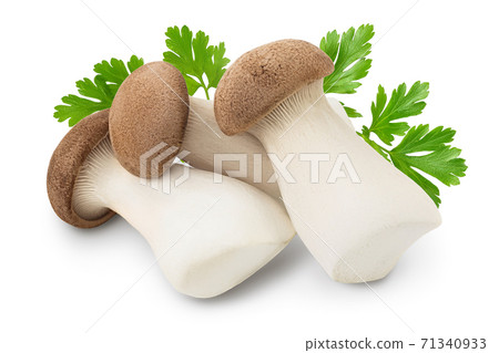 King Oyster mushroom or Eringi isolated on white background with clipping path and full depth of field. 71340933