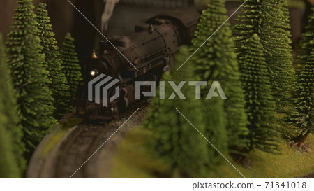 Retro steam lokomotive amoung trees. 71341018