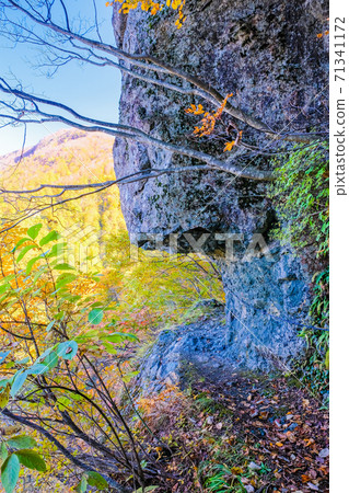 Backwinder山谷岩石步道(垂直) Backwinder山谷岩石步道(垂直) 71341172