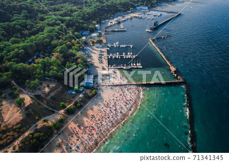 Aerial View of Crowd of People on the Beach 71341345
