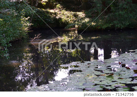 我去了Itashikiyama Daikakuji Temple#94 我去了Itashikiyama Daikakuji Temple#94 71342756