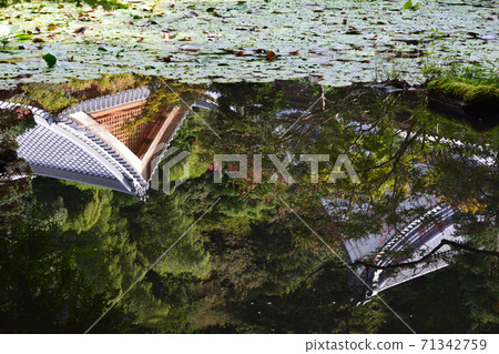 I went to Itajikisandaikakuji Temple # 91 I went to Itajikisandaikakuji Temple # 91 71342759