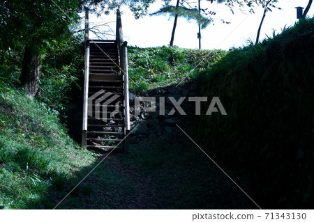 Tamarujo Tamarujo 71343130