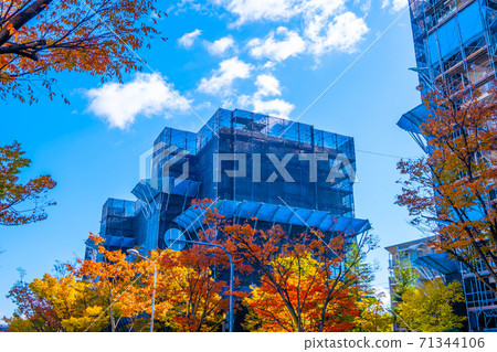 Large-scale condominium repair and autumn leaves 71344106