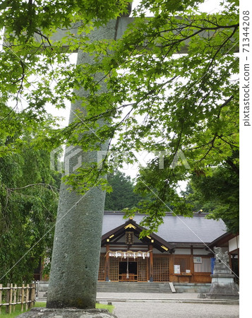 Asuwa Shrine in Fukui City, Fukui Prefecture 71344208