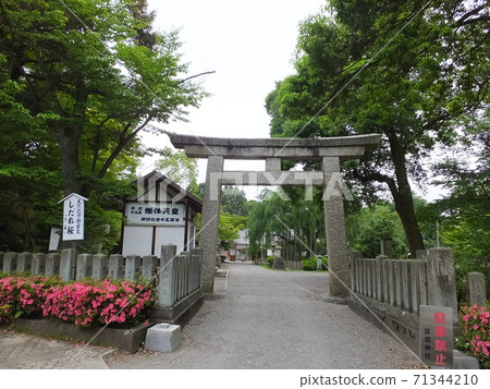 Torii of Asuwa Shrine in Fukui City, Fukui Prefecture 71344210