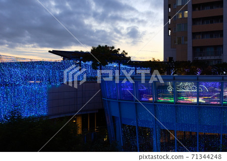 [Osaka Namba] Illuminations of Namba Parks [Twilight] 71344248