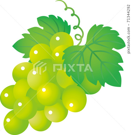 Grape  71344292