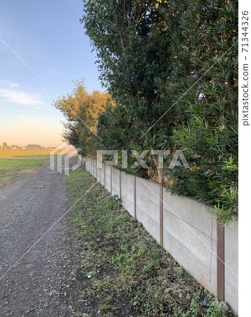 稻田路回來的路上 稻田路回來的路上 71344326