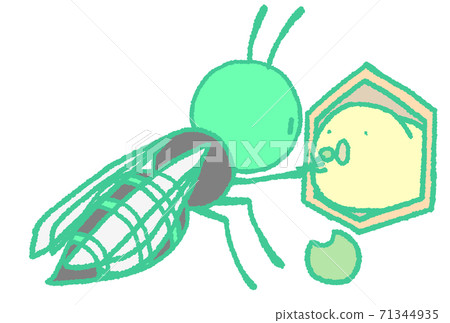 蜘蛛蜂餵幼蟲飯（藍綠色） 71344935