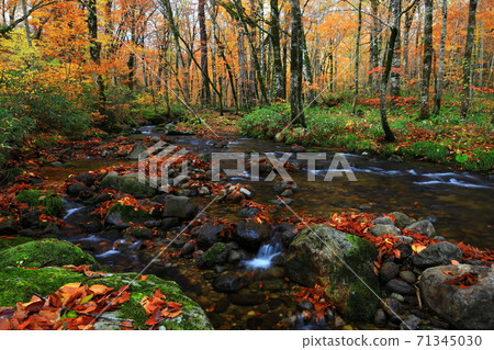 Momodong Valley in the autumn leaves Momodong Valley in the autumn leaves 71345030