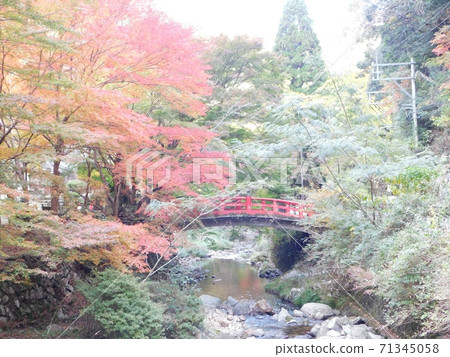 Kokei Bridge and autumn leaves of Taineiji Temple 71345058