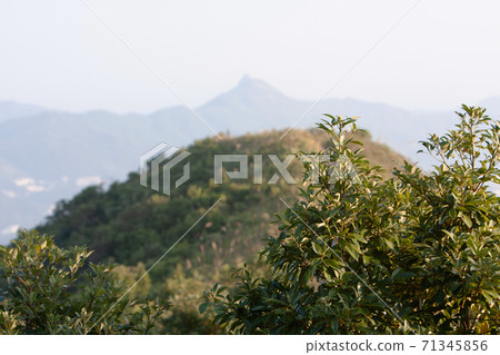 17 Nov 2007 The nature view of sai kung at Razor Hill hk 17 Nov 2007 The nature view of sai kung at Razor Hill hk 71345856