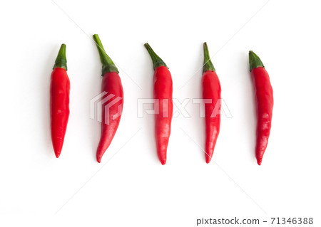 5 peppers, capsicum, white background 5 peppers, capsicum, white background 71346388