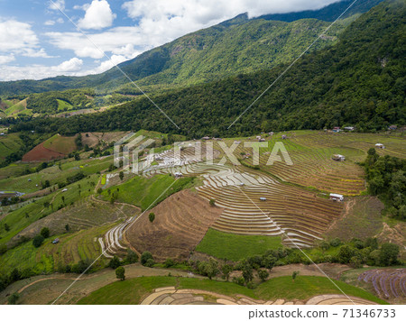 Top view Terraced rice field at Mae Cham Chiangmai Northern Thailand 71346733