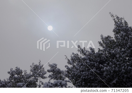 The sun and light rays on a snowy day [Fujimi Central Neighborhood Park] Tsurugashima City, Tokyo 71347205