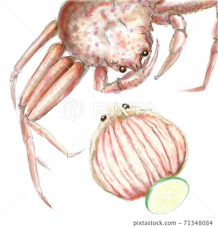 香盒蟹_D手繪_無字母 香盒蟹_D手繪_無字母 71348084