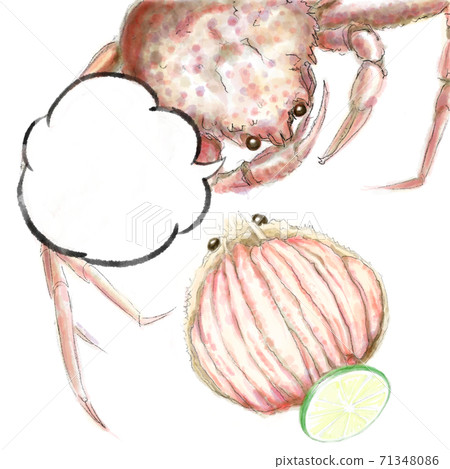 香盒蟹_D手繪_井噴 香盒蟹_D手繪_井噴 71348086