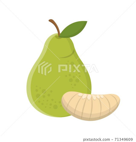 一個水果柚隔離在白色背景中,卡通漫畫插圖向量 一個水果柚隔離在白色背景中,卡通漫畫插圖向量 71349609