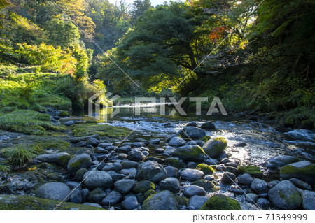  TsuruSenKei 71349999