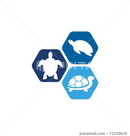 Turtle animal cartoon icon 71350026