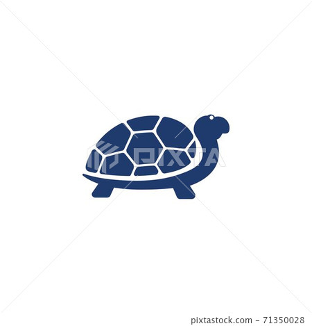 Turtle animal cartoon icon 71350028